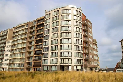 Wohnung in Blankenberge mit Meerblick