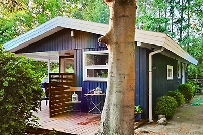 5 Personen Ferienhaus in Tranekær-By Traum