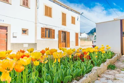 Vila Ca Shermano - Apartment Mit Gratis Wifi