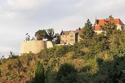 Heimstatt No. 10 - Franz -