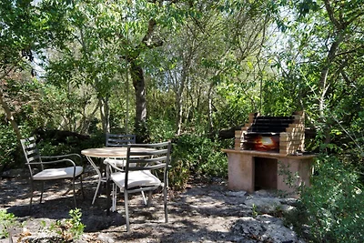 Traditionelle Villa mit Pool in Pollensa