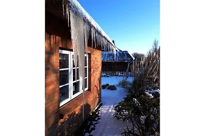 Objekt 29 || Nieblum