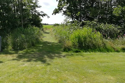 Rustig toevluchtsoord met Spa -- By Traum...