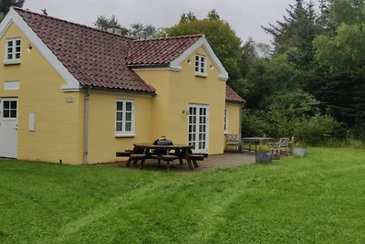 5 Sterne Ferienhaus in Skagen