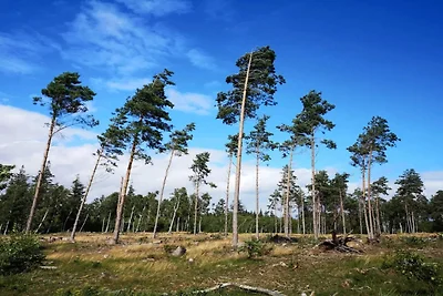4 Sterne Ferienhaus in Væggerløse-By Traum