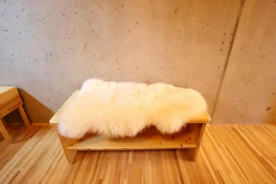 Hundefreundliche Ferienwohnung im...