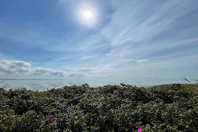 8 Personen Ferienhaus in Ringkøbing-By Traum