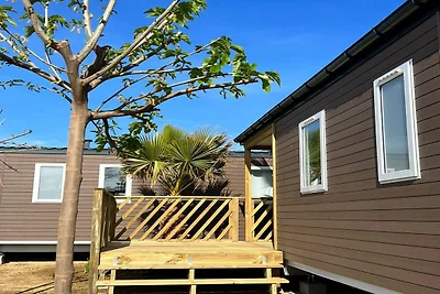 Casa mobile attraente nella natura