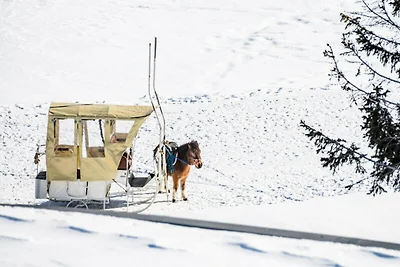 Renovierte Wohnung mit Seeblick