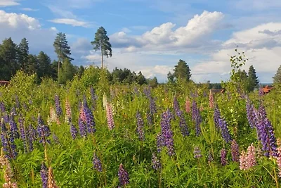 5 Sterne Ferienhaus in Sollerön