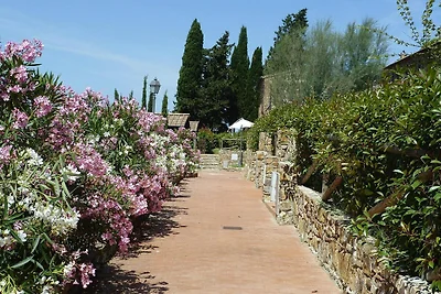 Wohnung in Campiglia Marittima
