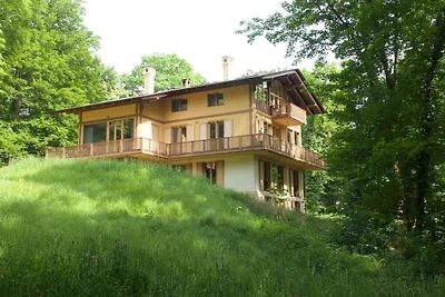 Lichtung im Parkchâlet