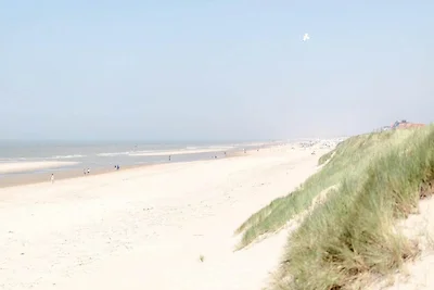 Schöne Wohnung in Wenduine in Strandnähe