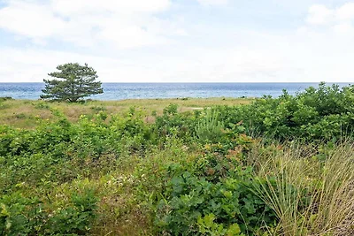 6 persoons vakantie huis in Glesborg