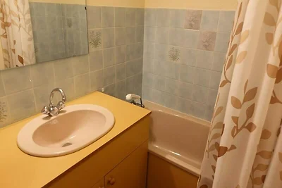 Ferienwohnung in Planay an Skipisten und...