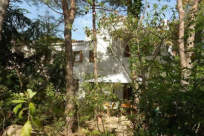 Ferienwohnung mit 2 Schlafzimmer