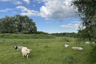 Vakantiehuis in Oostburg met barbecue