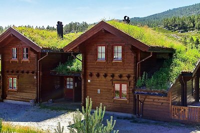 7 Personen Ferienhaus in VRÅDAL