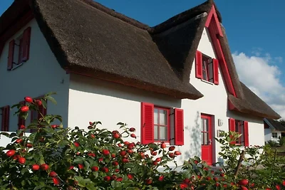 Ferienhaus mit 2 Schlafzimmer