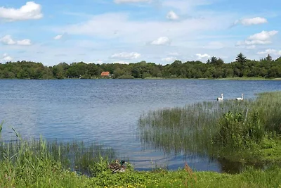 8 persoons vakantie huis in Ansager