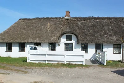4 Personen Ferienhaus in Blåvand
