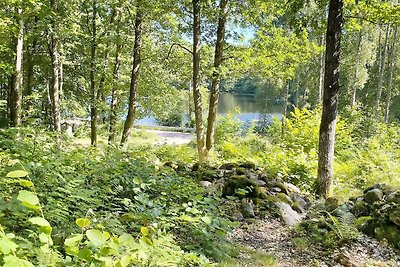 4 Sterne Ferienhaus in Backaryd