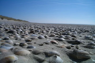 Klabautermann Maywald