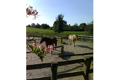 Boerderij in Boren met zwembad