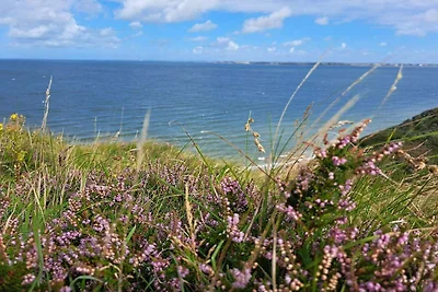 8 Personen Ferienhaus in Struer-By Traum
