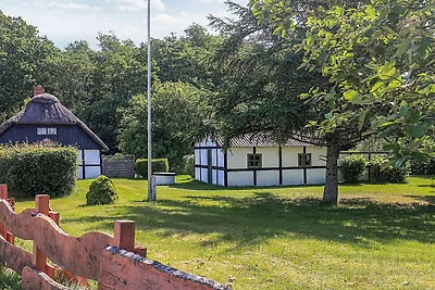 6 Personen Ferienhaus in Læsø