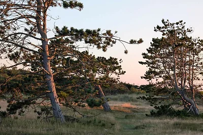 4 Sterne Ferienhaus in Frederiksværk-By Traum