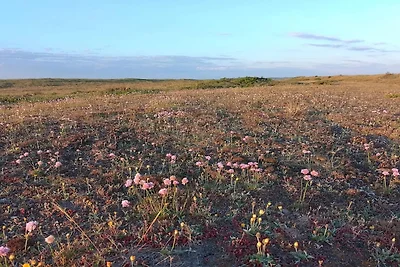8 Personen Ferienhaus in Fjerritslev-By Traum