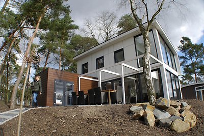 Modern vakantiehuis, bij Brunssummerheide