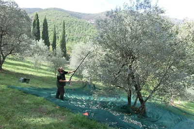 Agriturismo Poggio Banzi