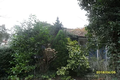 Wonen op het platteland