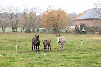 Bos (Vakantie in het bos en op het veld)