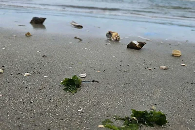 Luxurioses Refugium mit Pool -- By Traum...