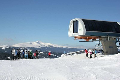 Schönes Chalet mitten im Bergparadies...