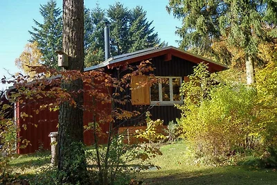 Ferienhaus in Allrode mit Garten