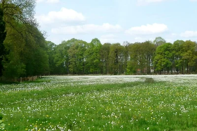 Strandlodge mit Seeblick in Ravels