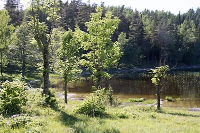 5 Personen Ferienhaus in KÖPMANNEBRO