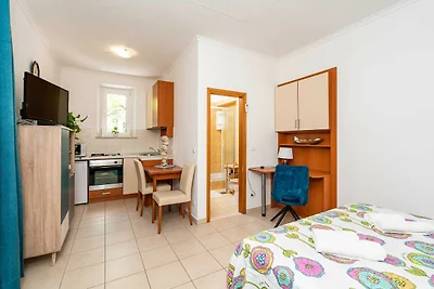 Apartments and Room Frane- Standard Studio wi...
