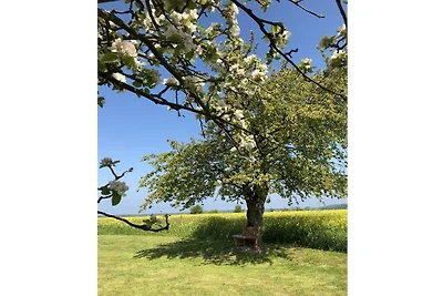 Historisches Bauernhaus 1840