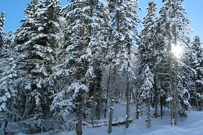 Duplex-Studio nahe Skibus-Haltestelle