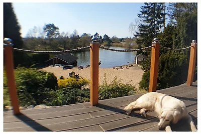 Ferienhaus in Güster mit Schwimmbecken