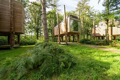De Boomhut van Belvilla