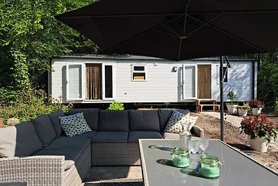 Neues Ferienhaus in Hattemerbroek mit...