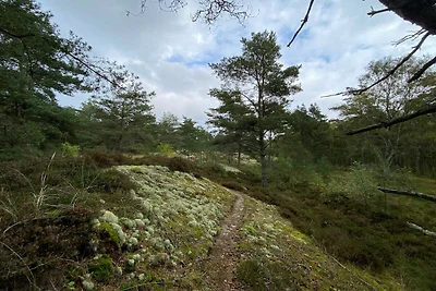 6 Personen Ferienhaus in Læsø-By Traum