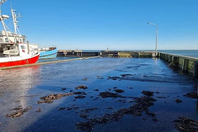 4 Personen Ferienhaus in Ålbæk-By Traum