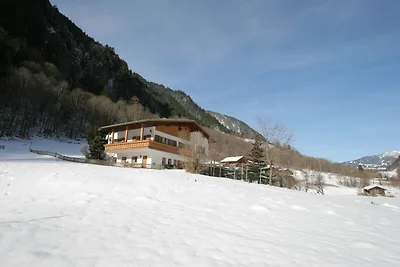 Wohnung in St. Gallenkirch nahe Skipisten